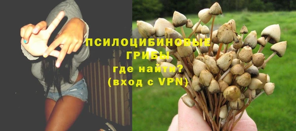 бутират Белокуриха