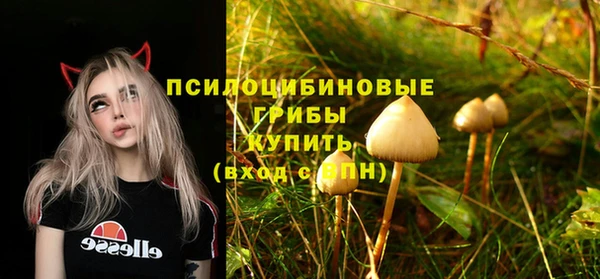 таблы Пестово