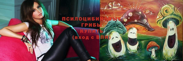 бутират Белокуриха