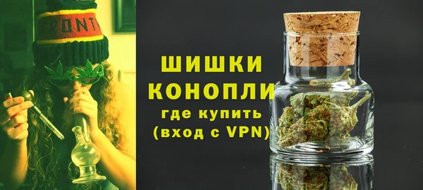 бутират Белокуриха